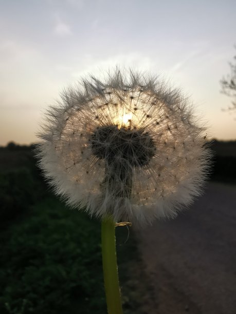 充满希望的图片下载