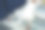 狗爪露出脚垫。浅色爪子的特写杰克罗素梗。睡觉的狗爪子在宏观细节。可爱的小狗在客厅睡觉。狗在散步后躺在沙发上休息和放松。图片下载