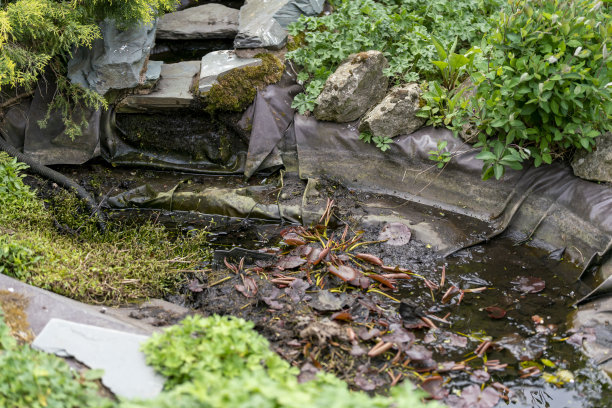 花园池塘干涸图片下载