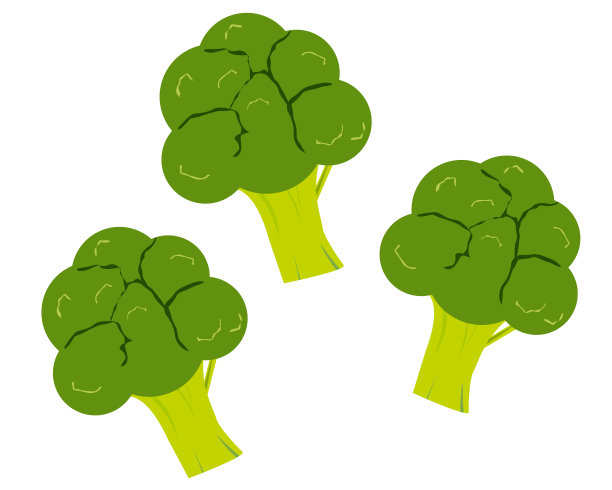 向量,插图,西兰花,蔬菜,图标图片下载