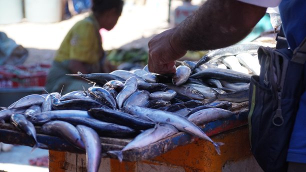 帝汶西部的鱼市图片下载