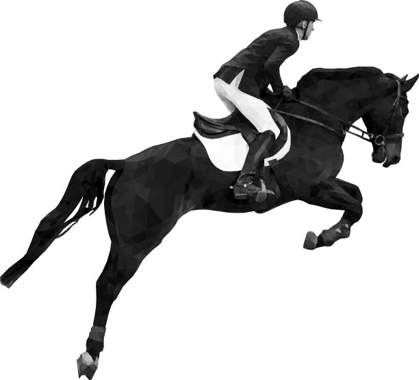 骑在马上的马术运动骑手图片下载
