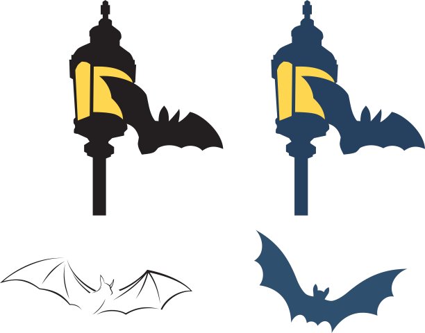 蝙蝠图片下载