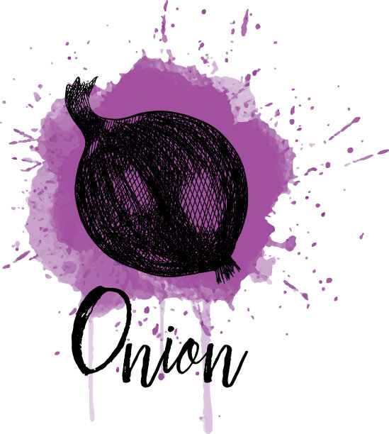 洋葱手制作图形图片下载