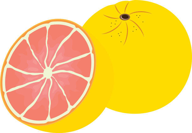 热带水果设计图片下载