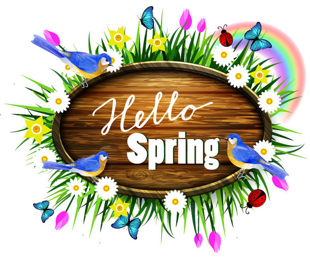 草坪上的木板图片下载