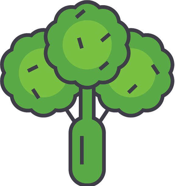 花椰菜、蔬菜、沙拉、菠菜等素食概念图片下载