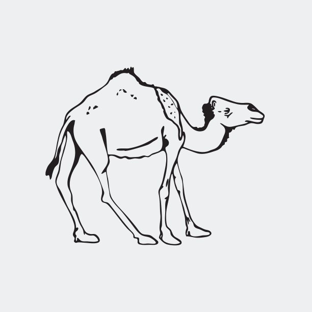 手绘铅笔图形骆驼雕刻模具图片下载