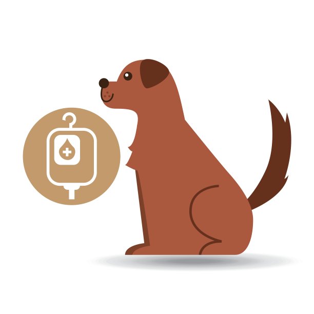 兽医诊所概念袋血图片下载