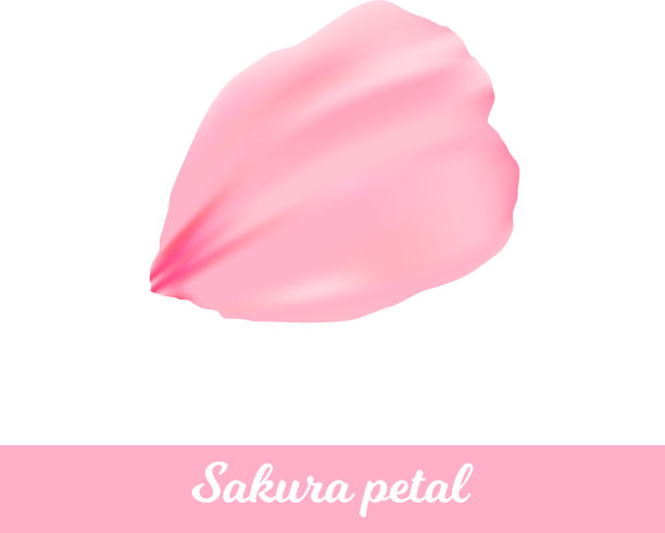 美丽的粉红色樱花花瓣图片下载