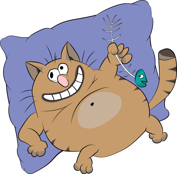 胖胖的微笑猫无忧无虑地躺在枕头上图片下载