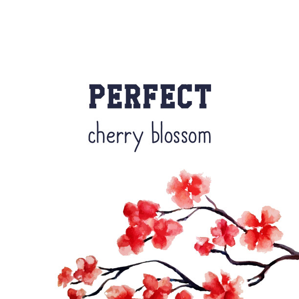 写实樱花-日本红樱桃图片下载