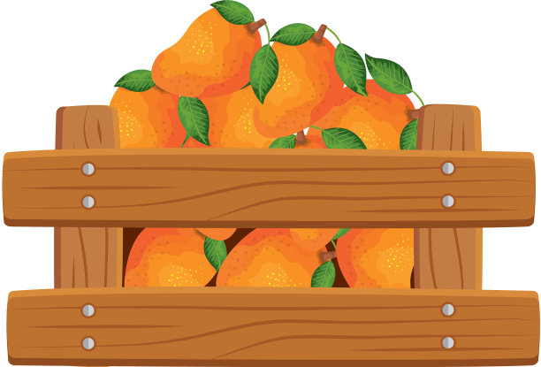 新鲜的芒果水果装在木箱里图片下载