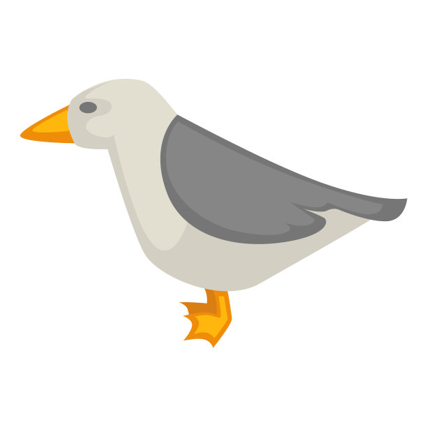 海鸥孤立在白色彩色图形上图片下载