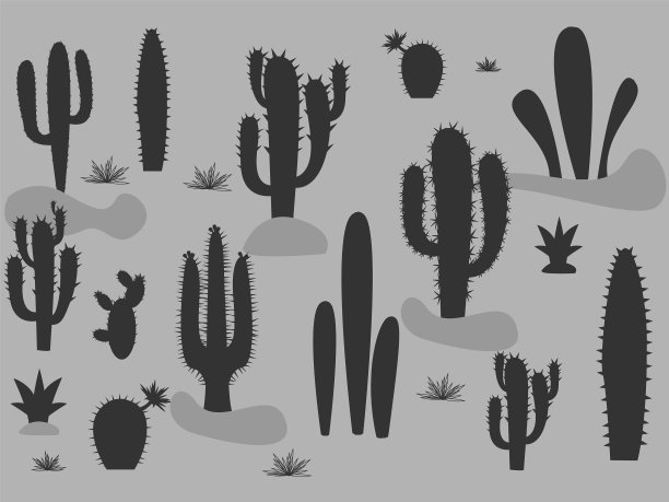 一套可爱的仙人掌和多肉植物在花盆图片下载