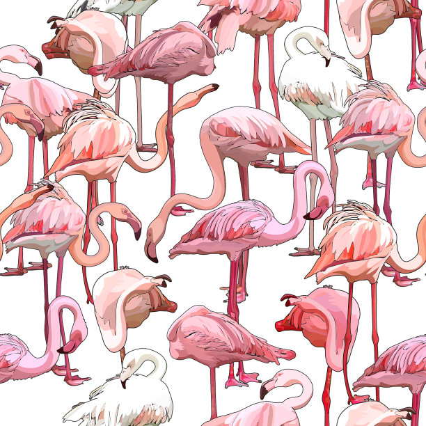 无缝背景与火烈鸟图片下载