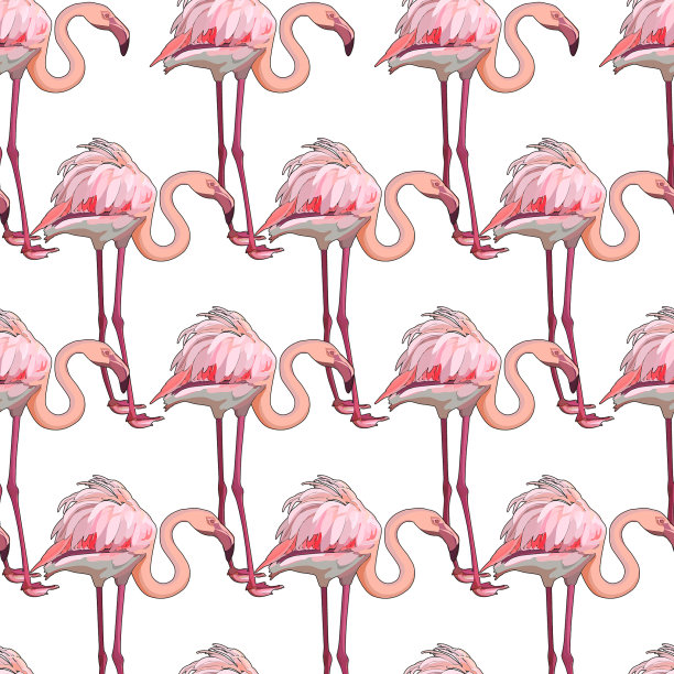 无缝背景与火烈鸟图片下载