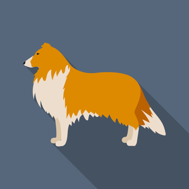 柯利图标在平坦的风格为网页图片下载