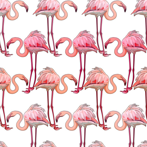 无缝背景与火烈鸟图片下载