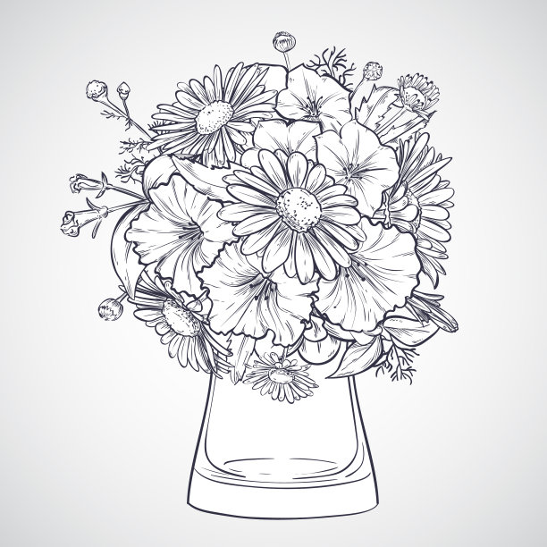 一束洋甘菊和牵牛花图片下载