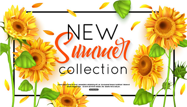 新的夏季集合与向日葵为旗帜图片下载