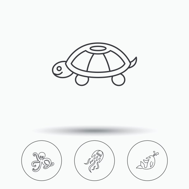 章鱼海龟海豚水母图标图片下载