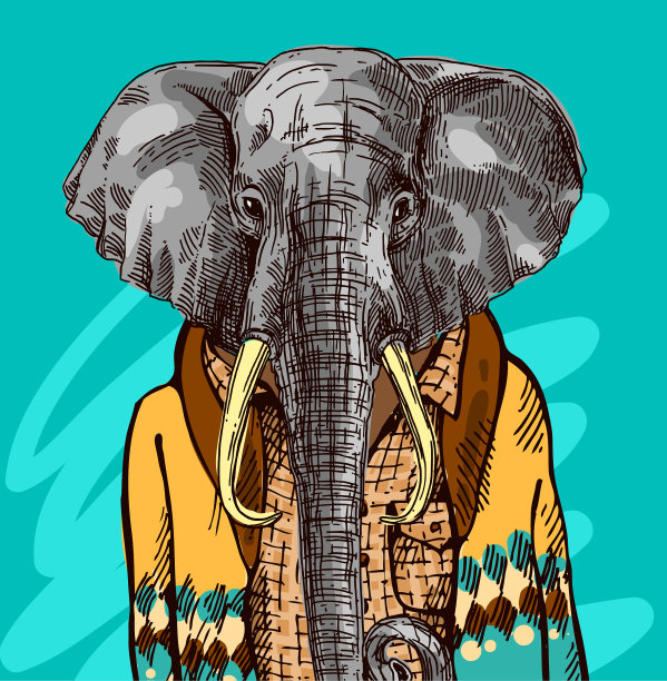 针织毛衣里的大象图片下载