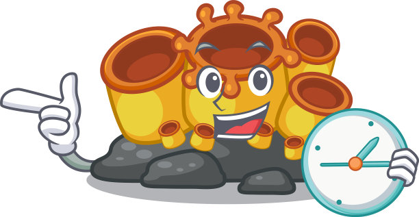 与钟橙海绵珊瑚隔离图片下载