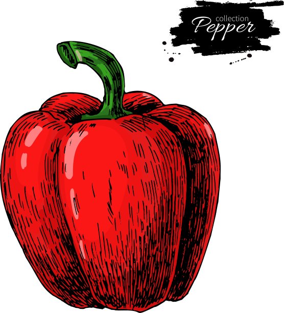 红柿子椒手绘图片下载