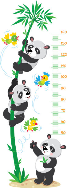 一米墙与竹子树和有趣的熊猫图片下载