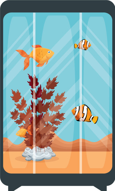 长方形鱼缸与颜色的鱼图片下载