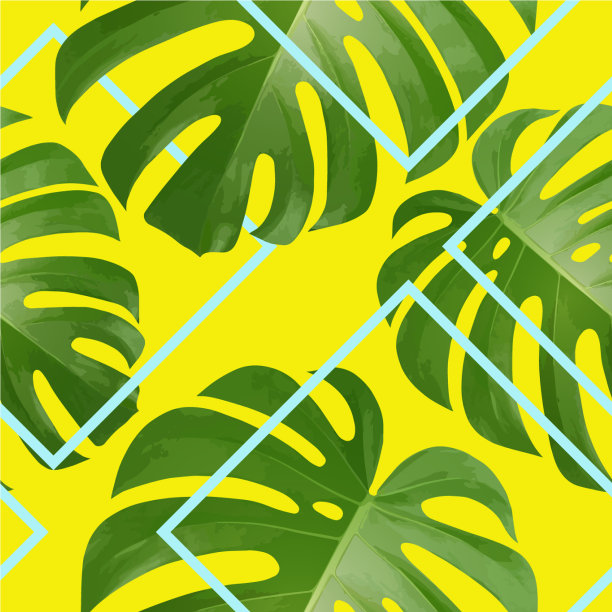 背景热带棕榈叶异国情调图片下载