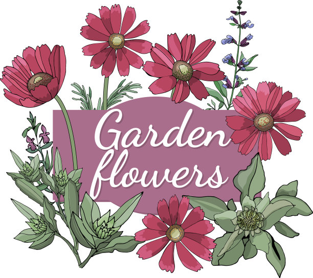 花园的花图片下载