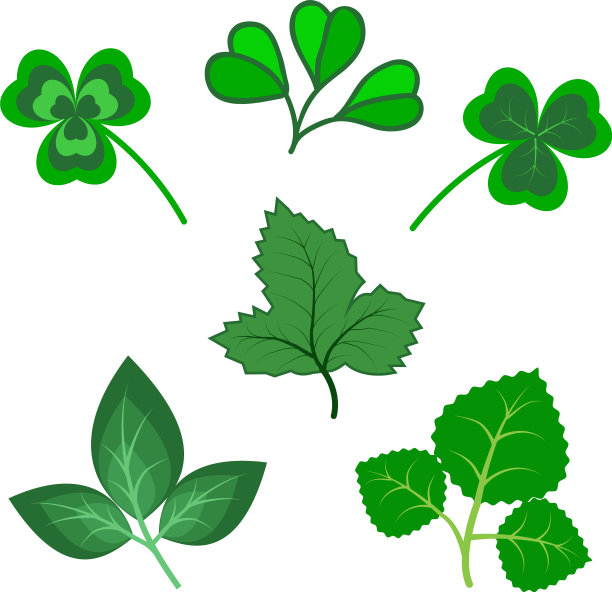 套各种绿色三叶孤立图片下载