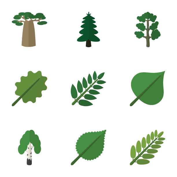 扁平图标自然套叶猴面包树图片下载