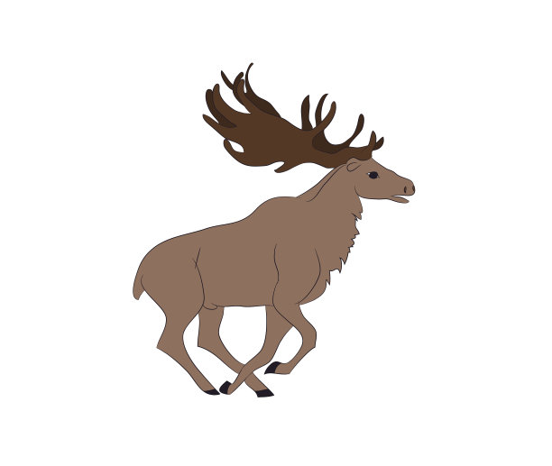 鹿的谎言图片下载