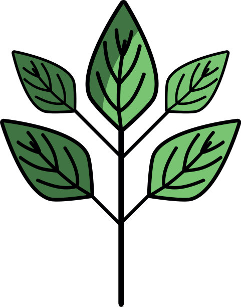 生态植物与叶子的图标图片下载