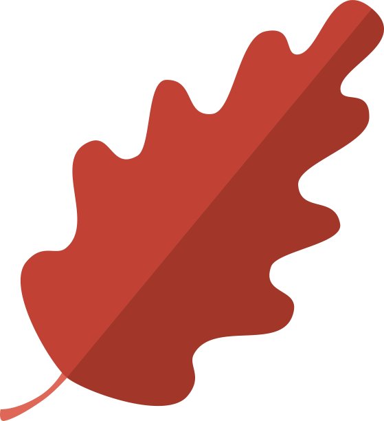 秋天干燥的叶子图片下载