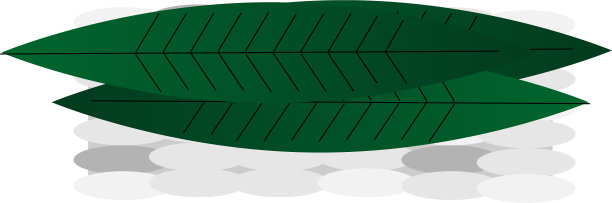 寿司平铺在白色上图片下载