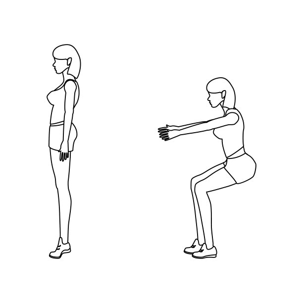体重下蹲锻炼大纲图片下载