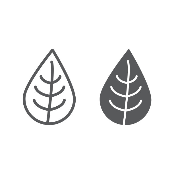 树叶线条和符号图标：自然与生态植物图片下载