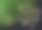 多边形的金色三叶草在绿色的背景上图片下载