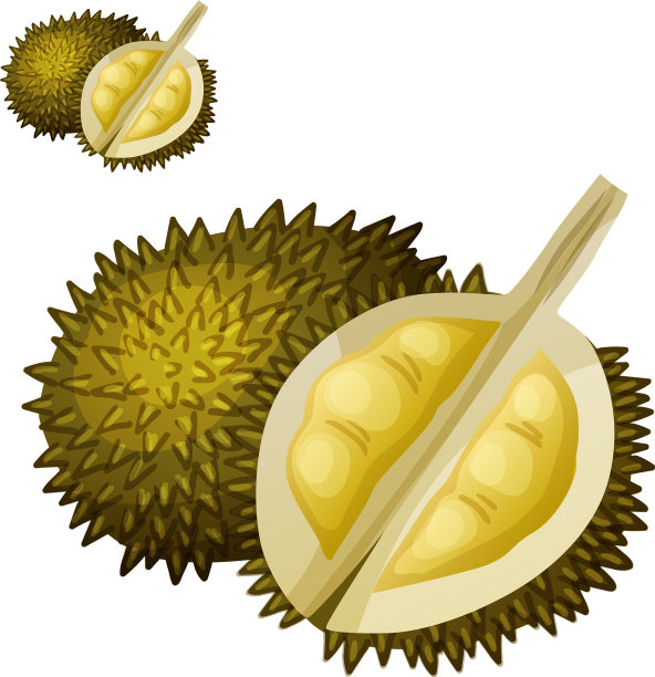 卡通孤立的榴莲果图标图片下载