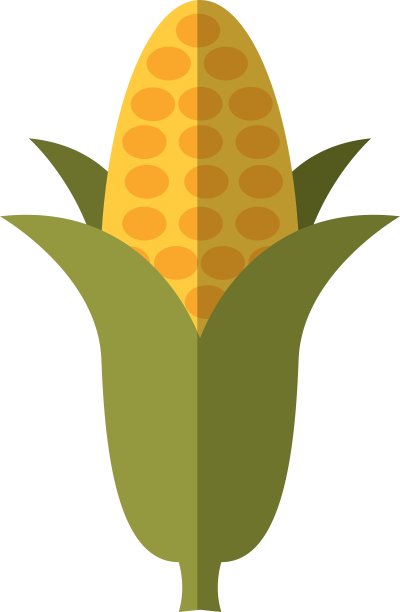 玉米蔬菜孤立图标图片下载