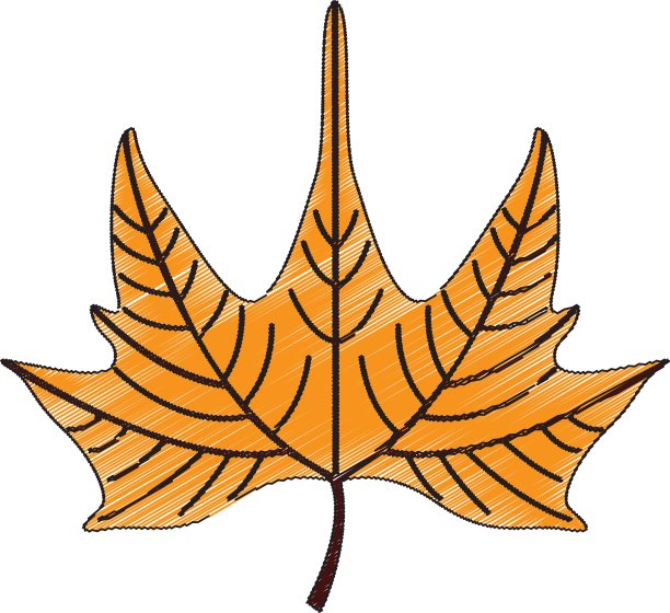 叶子植物孤立图标图片下载