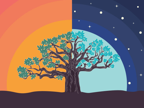 夜晚和日落大树图片下载