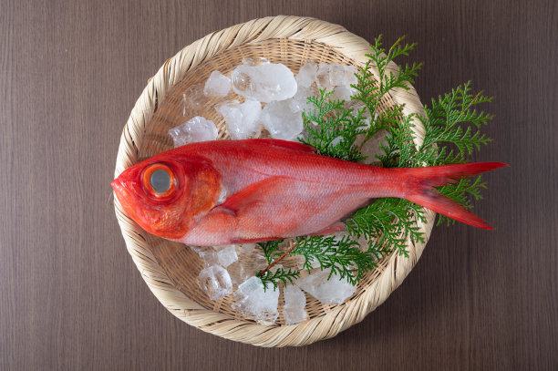 金美代，日本新鲜全红鲷鱼图片下载