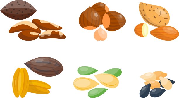 不同的坚果图片下载