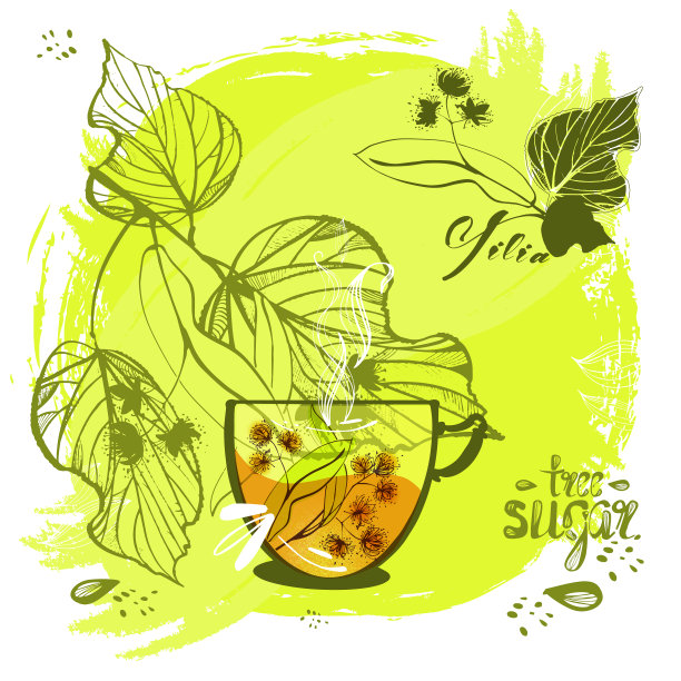 手绘菩提树枝与叶和花图片下载