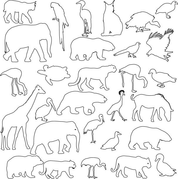 剪影大象，老虎，熊，长颈鹿，火烈鸟图片下载